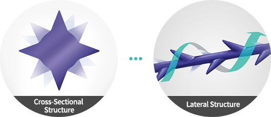 Cross-Sectional Structure, Lateral Structure