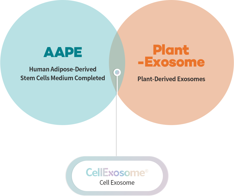 aape 인체지방유래 줄기세포 배양액 원료, plant-exosome 식물유래 엑소좀, cellexosome 셀 엑소좀