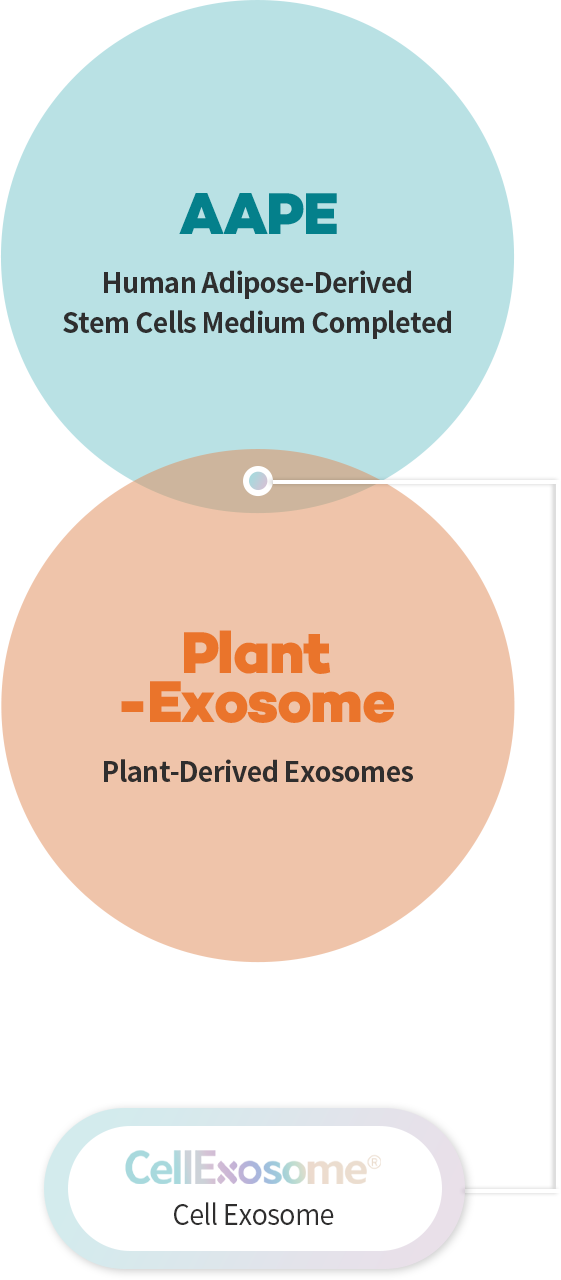 aape 인체지방유래 줄기세포 배양액 원료, plant-exosome 식물유래 엑소좀, cellexosome 셀 엑소좀
