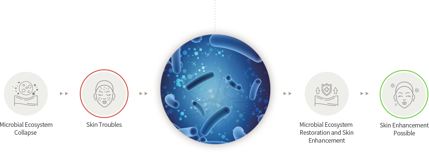 박테리아 생태계 붕괴, 피부 트러블, 미생물 생태계 회복 및 피부 재생 효과 기대, 피부 개선 가능
