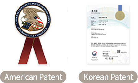 미국특허, 국내특허