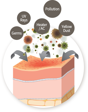 자외선, 공해, 세균, 히터,에어컨, 미세먼지