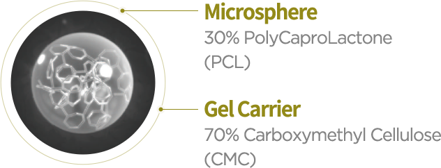 Gel Carrier, Microsphere