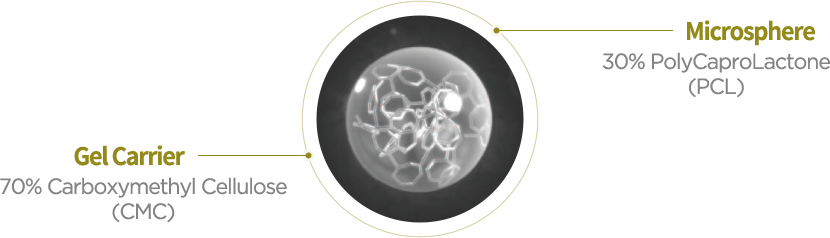 Gel Carrier, Microsphere